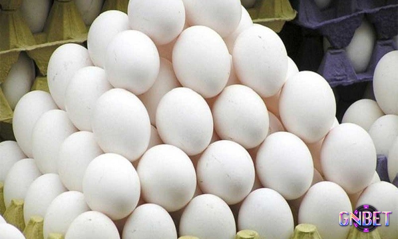 Chiêm bao thấy trứng vịt giúp anh em có những con số thắng lớn