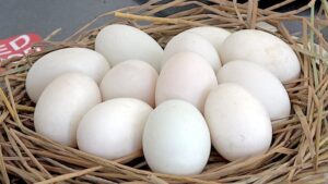 Chiêm bao thấy trứng vịt và ý nghĩa cùng con số may mắn