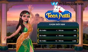 Thuật ngữ bài Teen Patti: Cách chơi và thuật ngữ cho người mới