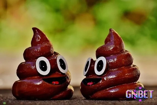 Chiêm bao thấy cức là cơ hội để bạn làm giàu 