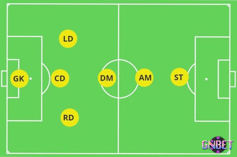 Giải đáp các thắc mắc thường gặp giúp người chơi hiểu rõ hơn về các vị trí trong bóng đá 7 người và chiến thuật.