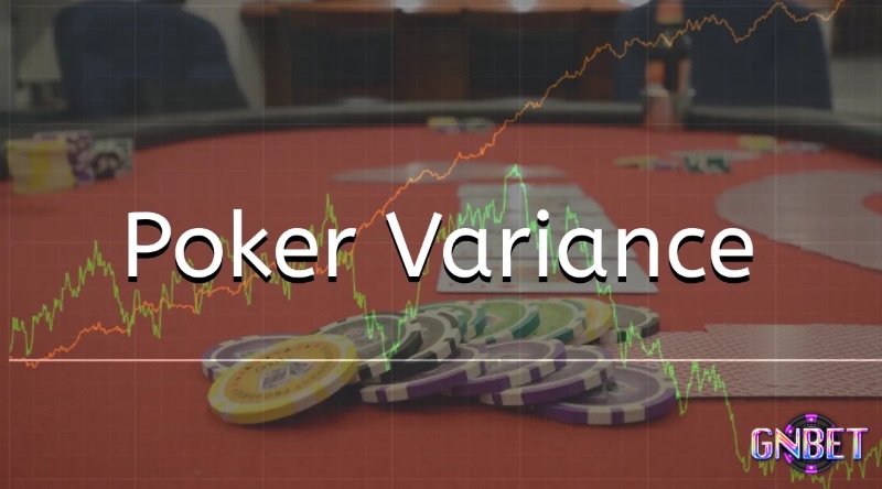 Biến động chính là “vị khách không mời” khiến kết quả ngắn hạn khác xa với kỳ vọng thực tế.