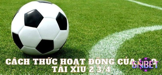 Nắm vững cách hoạt động kèo tài xỉu 2 3 4 để đưa ra lựa chọn chính xác hơn