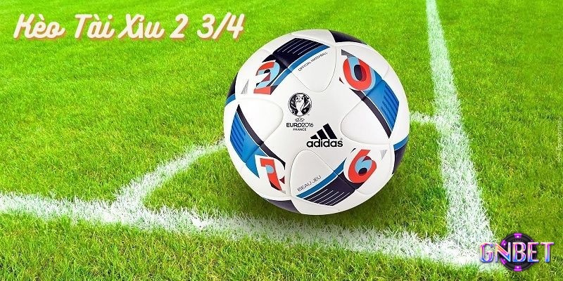 Kèo tài xỉu 2 3 4 là loại kèo được người chơi ưu tiên khi tham gia cá độ bóng đá