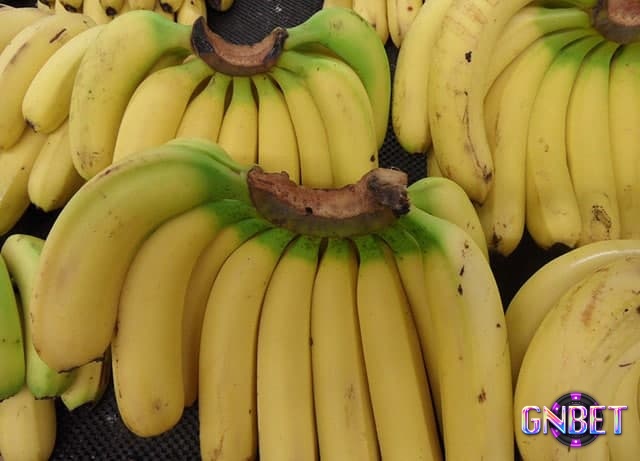 Đa phần giấc chiêm bao thấy chuối chín là tốt