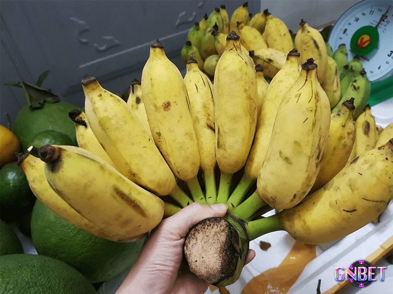 Chiêm bao thấy chuối chín được tặng cho mình là báo hiệu bạn sắp nhận được sự giúp đỡ