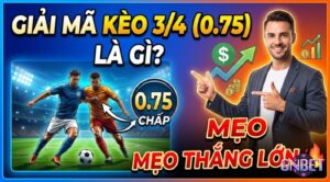 Kèo 3/4 là gì? Cách đọc kèo và chiến lược soi kèo chuẩn xác
